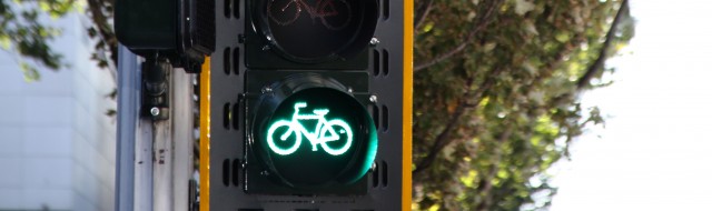 Biking Signals